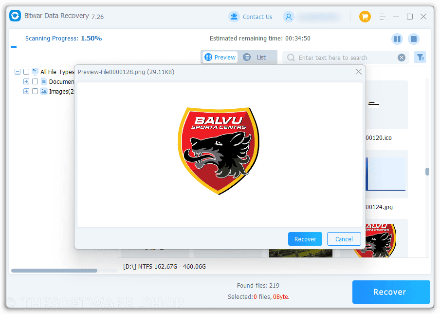Bitwar Data Recovery Screenshot - Preview
