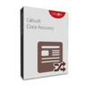 Gilisoft Data Recovery - Windows - 1 PC / Liftetime free update</p></img>
<p>