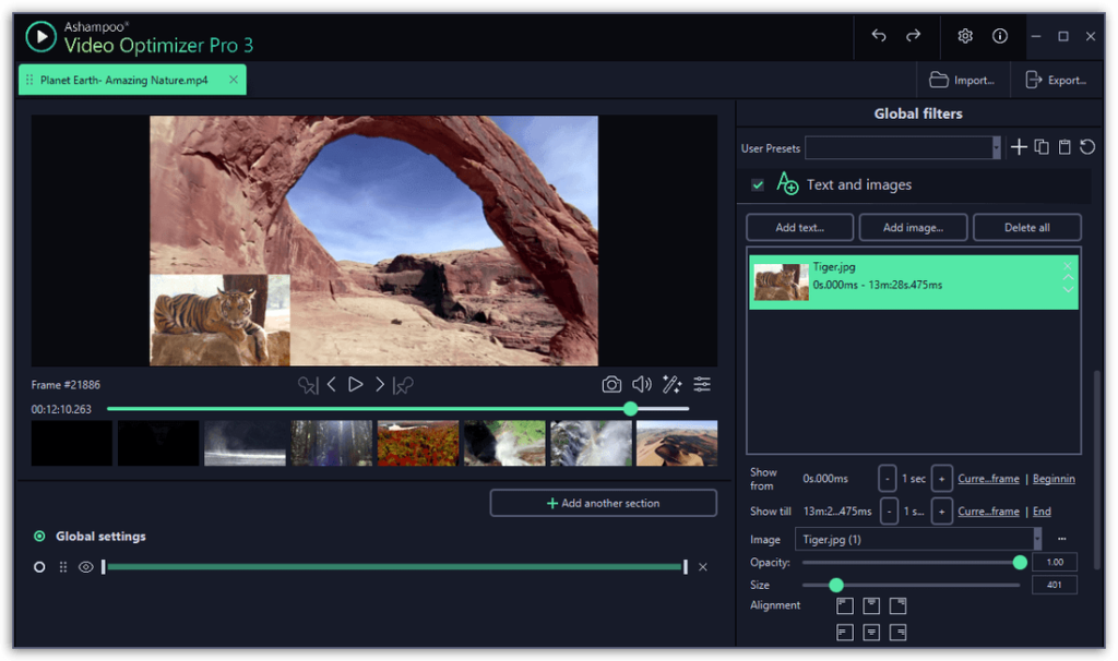 Ashampoo Video Optimizer Pro 3 - Text and Images