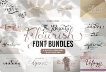 The Beauty Flourish Font Bundles Discount Sale Download