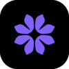 Bloom: Lite Plan — Annual (2 Months Free)</p><p>