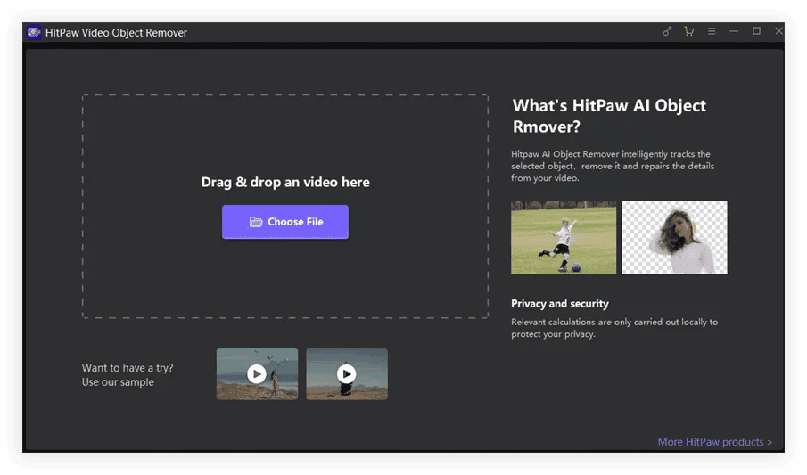 HitPaw Video Object Remover screenshot
