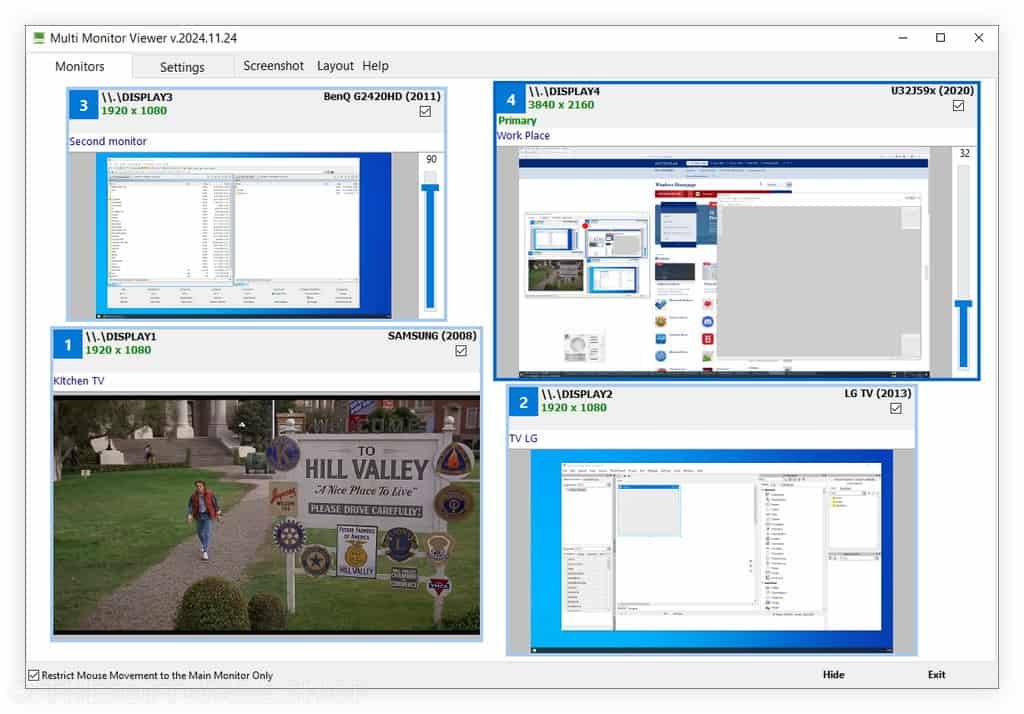 Al-soft Multi Monitor Viewer Screenshot