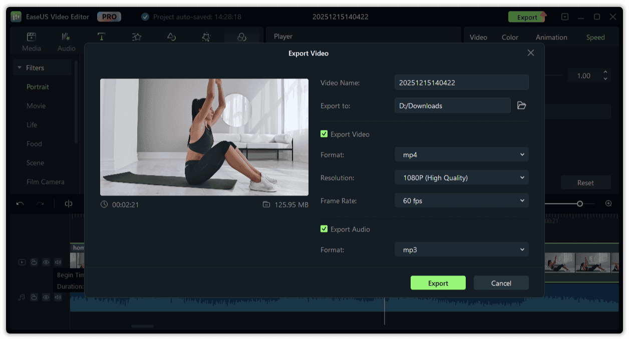 Easeus Video Editor PRO Export