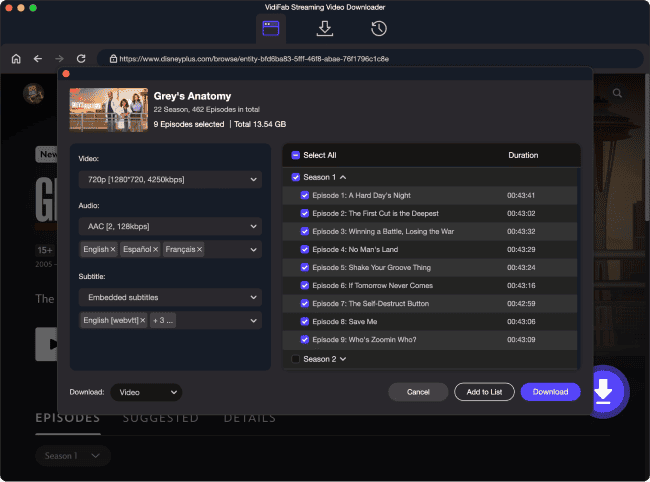VidiFab Streaming Video Downloader Screenshot