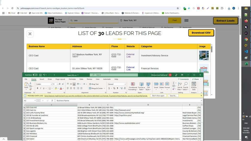 Yellow Pages Leads Scraper Screenshot