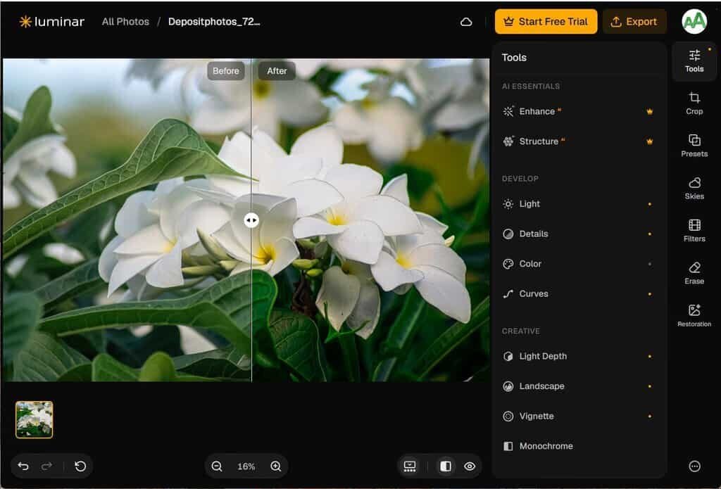 Luminar On Web Screenshot