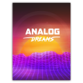 ANALOG DREAMS</p><p>
