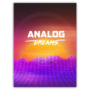 ANALOG DREAMS</p><p>