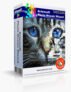 80% Off Coupon on on Artensoft Photo Mosaic Wizard – Create Your Own Photomosaic on Your PC / Nootebook / Tablet with Windows OS