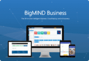 37% Off on BigMIND Business (Annual Subscription) – The All-in-One Intelligent Business Cloud Backup and eDiscovery