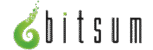 Bitsum Technologies LLC