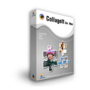 CollageIt Pro for Mac - Personal License (62% Off)