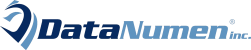 DataNumen Inc