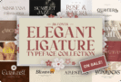 Giveaway – Elegant Ligature Font Bundle: Free 36 Premium Fonts by Typianesia | Commercial License for Branding, Invitations, and Creative Projects