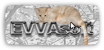 EVVASoft Company