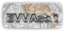 EVVASoft Company
