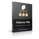 50% Off – FileSorter PRO: Lifetime License | The Best File Organizer Software – Custom Sorting Rules, Batch Operations, File Filtering – for Windows