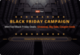 [Giveaway Alert!] 2019 MiniTool Black Friday & Cyber Monday Deals: Giveaway, Big Sale, Coupon Code