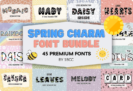 99% Off – Spring Charm Font Bundle: 45 Premium Fonts by 18CC FONTs | Commercial License