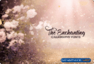 92% Off + 10% Off Coupon: The Enchanting Calligraphy Fonts – 68 Calligraphy Fonts with Extended-Use License