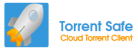 TorrentSafe.com