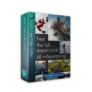 [NEW LINK #4] Giveaway – VSDC Video Editor PRO 10.1: Free 1-year License Key | Full Version for Windows