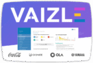 85% Off on Vaizle PRO – Yearly Smart Plan – The Best Social Media Analytics Tool for Competitive Analysis