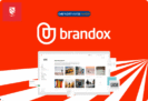 95% Off on Lifetime Access to Brandox Pro Plan – A Visually Organized Brand Asset Platform